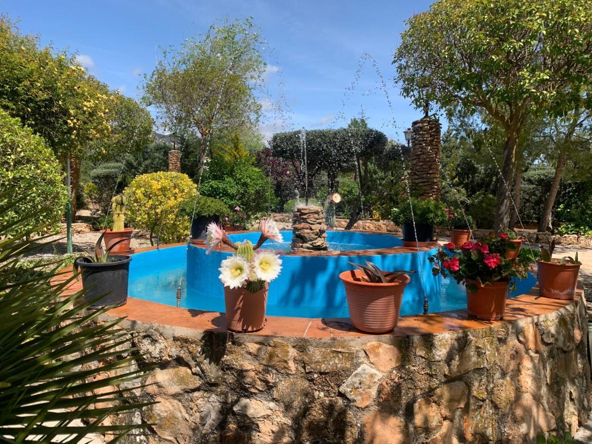 Torcales Del Lobo Apartamentos Rurales Pozo Alcón エクステリア 写真
