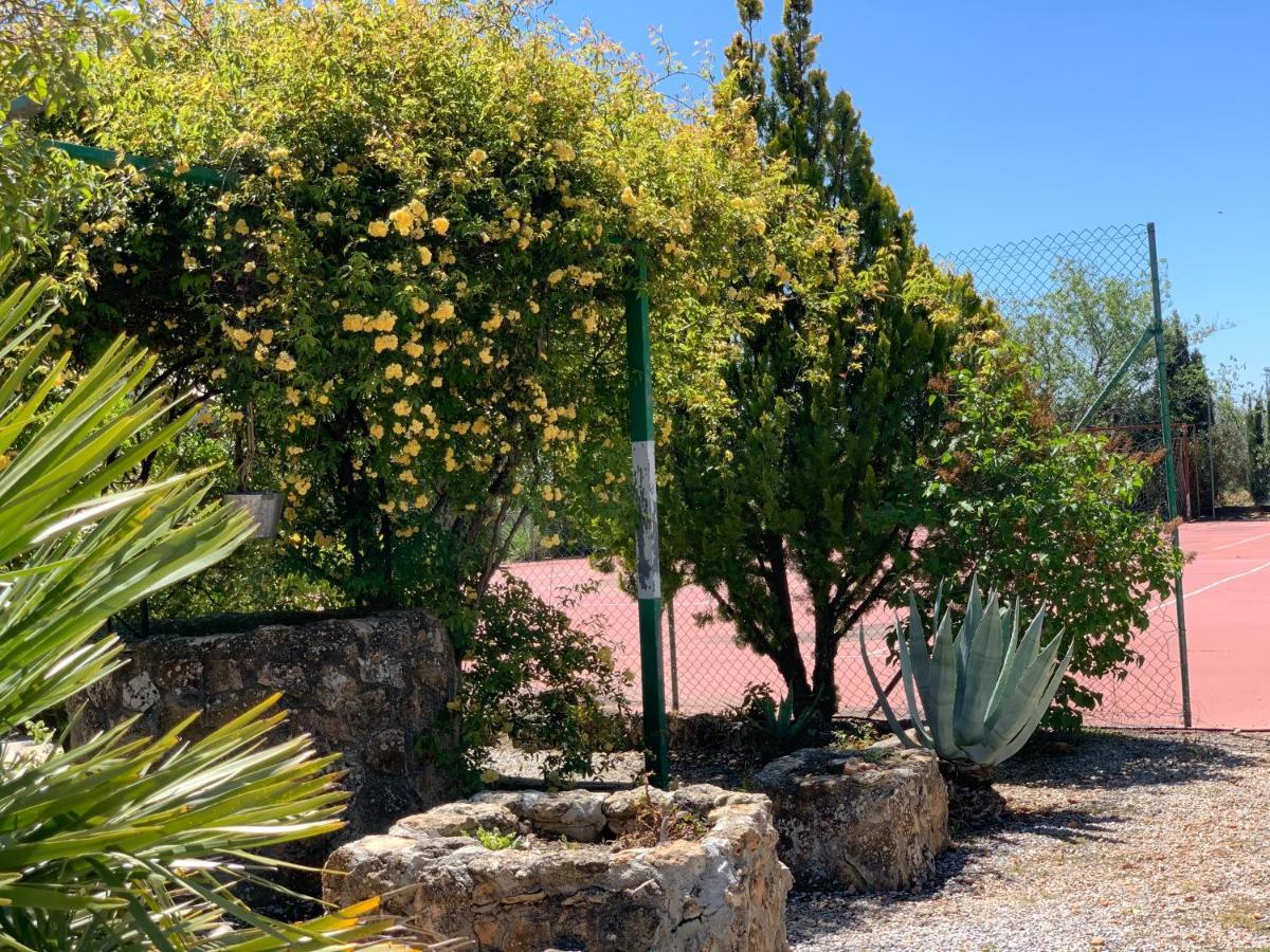 Torcales Del Lobo Apartamentos Rurales Pozo Alcón エクステリア 写真