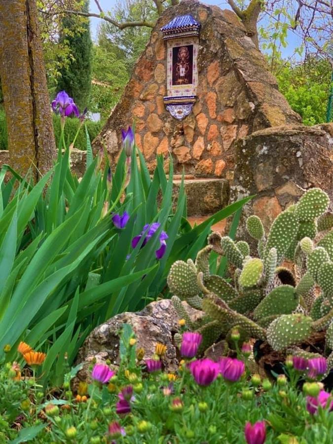 Torcales Del Lobo Apartamentos Rurales Pozo Alcón エクステリア 写真